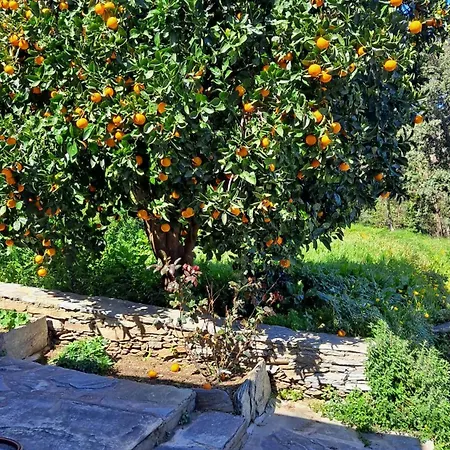 Pour Couple Apartamento